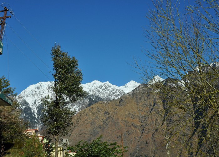 vipra-rawat-_aH_WiYtg7Q-unsplash (1).jpg